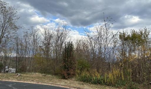 Photo #4 of INDEPENDENCE DRIVE, LURAY, VA 0.4 acres