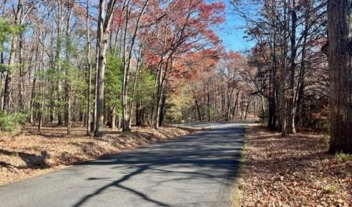 Photo #2 of EGYPT BEND ROAD, LURAY, VA 0.3 acres