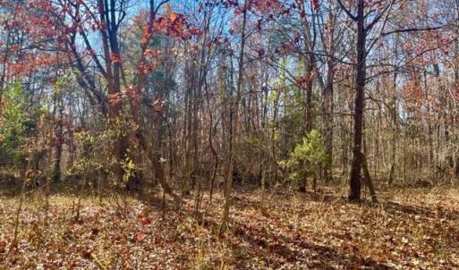 Photo #1 of EGYPT BEND ROAD, LURAY, VA 0.3 acres