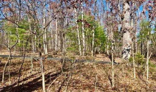 Photo #3 of EGYPT BEND ROAD, LURAY, VA 0.3 acres