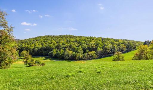 Photo #2 of 4800 FIERY RUN RD, LINDEN, VA 408.7 acres