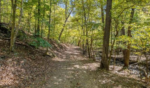 Photo #28 of 4800 FIERY RUN RD, LINDEN, VA 408.7 acres