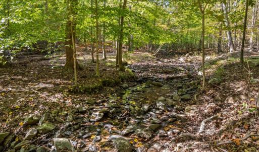 Photo #29 of 4800 FIERY RUN RD, LINDEN, VA 408.7 acres