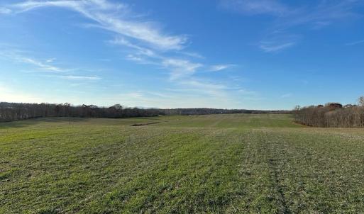 Photo #14 of 8184 FOX GROVES RD, REMINGTON, VA 1,233.2 acres