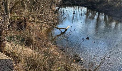 Photo #20 of 8184 FOX GROVES RD, REMINGTON, VA 1,233.2 acres