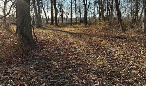 Photo #26 of 8184 FOX GROVES RD, REMINGTON, VA 1,233.2 acres