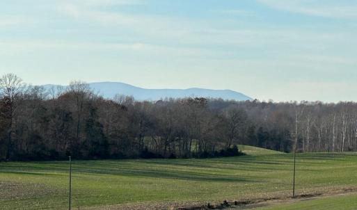 Photo #27 of 8184 FOX GROVES RD, REMINGTON, VA 1,233.2 acres