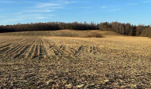 Photo #28 of 8184 FOX GROVES RD, REMINGTON, VA 1,233.2 acres