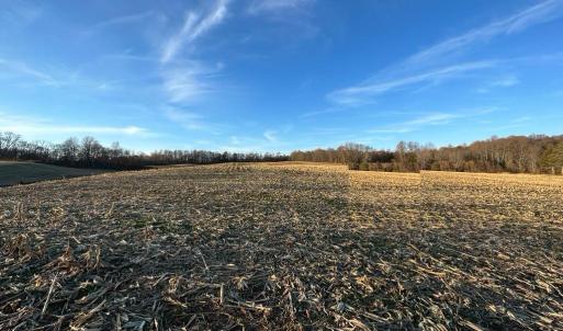 Photo #29 of 8184 FOX GROVES RD, REMINGTON, VA 1,233.2 acres