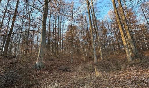 Photo #30 of 8184 FOX GROVES RD, REMINGTON, VA 1,233.2 acres