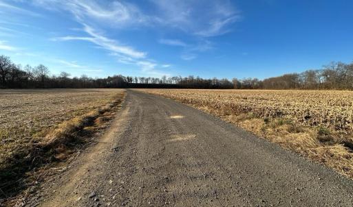 Photo #31 of 8184 FOX GROVES RD, REMINGTON, VA 1,233.2 acres