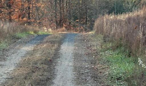 Photo #32 of 8184 FOX GROVES RD, REMINGTON, VA 1,233.2 acres