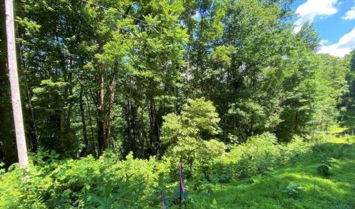 Photo #4 of OVERLOOK MOUNTAIN ROAD (6.67ACRES), ELKTON, VA 6.7 acres