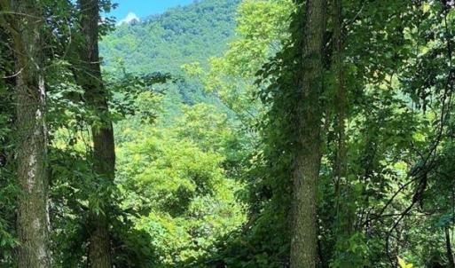 Photo #5 of OVERLOOK MOUNTAIN ROAD (6.67ACRES), ELKTON, VA 6.7 acres