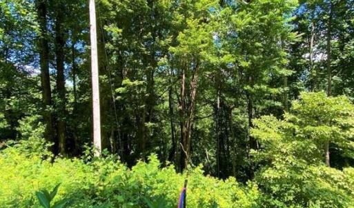Photo #6 of OVERLOOK MOUNTAIN ROAD (6.67ACRES), ELKTON, VA 6.7 acres