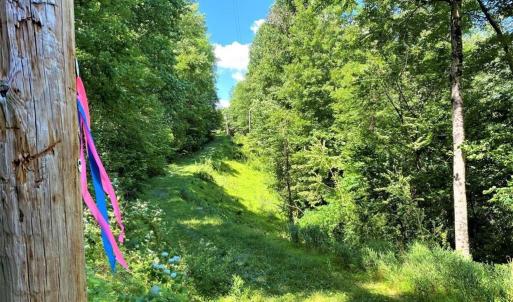 Photo #9 of OVERLOOK MOUNTAIN ROAD (6.67ACRES), ELKTON, VA 6.7 acres