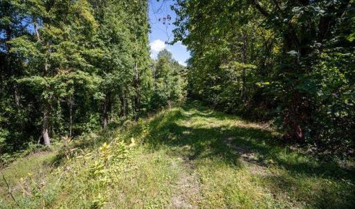 Photo #22 of OVERLOOK MOUNTAIN ROAD (6.67ACRES), ELKTON, VA 6.7 acres