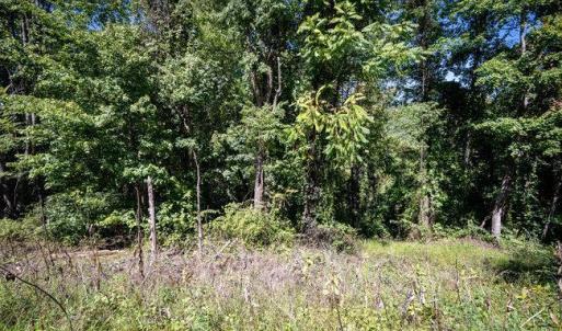Photo #23 of OVERLOOK MOUNTAIN ROAD (6.67ACRES), ELKTON, VA 6.7 acres