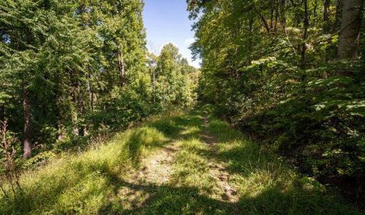 Photo #24 of OVERLOOK MOUNTAIN ROAD (6.67ACRES), ELKTON, VA 6.7 acres