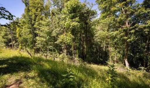 Photo #25 of OVERLOOK MOUNTAIN ROAD (6.67ACRES), ELKTON, VA 6.7 acres