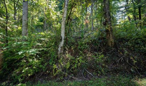 Photo #26 of OVERLOOK MOUNTAIN ROAD (6.67ACRES), ELKTON, VA 6.7 acres