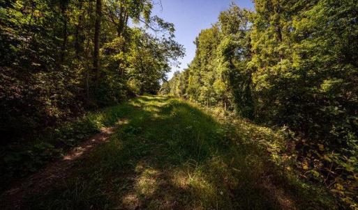 Photo #30 of OVERLOOK MOUNTAIN ROAD (6.67ACRES), ELKTON, VA 6.7 acres