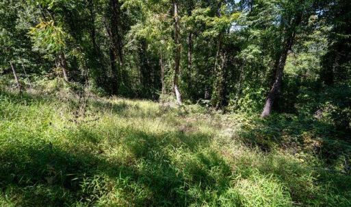 Photo #31 of OVERLOOK MOUNTAIN ROAD (6.67ACRES), ELKTON, VA 6.7 acres