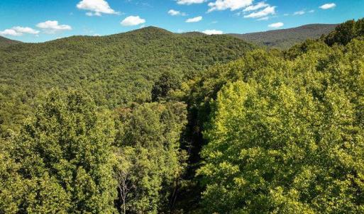 Photo #34 of OVERLOOK MOUNTAIN ROAD (6.67ACRES), ELKTON, VA 6.7 acres