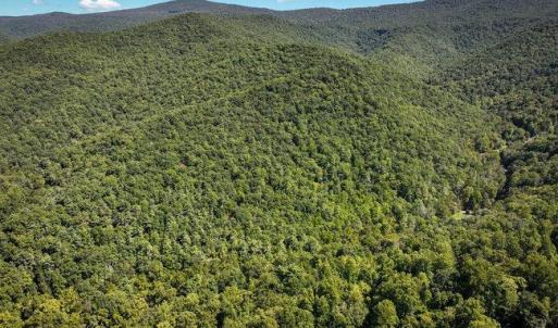 Photo #40 of OVERLOOK MOUNTAIN ROAD (6.67ACRES), ELKTON, VA 6.7 acres