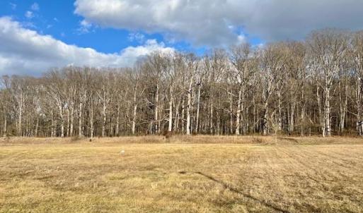 Photo #4 of GENERAL DRIVE, LURAY, VA 1.0 acres