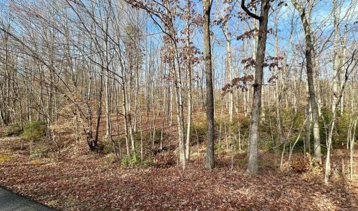 Photo #4 of OAKMONT DR, GORDONSVILLE, VA 0.4 acres