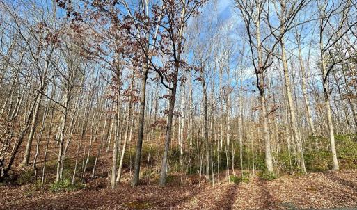 Photo #5 of OAKMONT DR, GORDONSVILLE, VA 0.4 acres