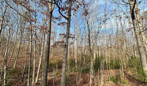 Photo #6 of OAKMONT DR, GORDONSVILLE, VA 0.4 acres