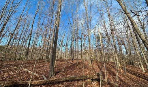 Photo #7 of OAKMONT DR, GORDONSVILLE, VA 0.4 acres