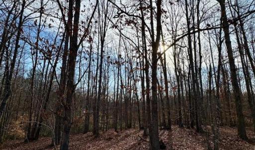 Photo #8 of OAKMONT DR, GORDONSVILLE, VA 0.4 acres