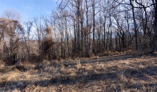 Photo #1 of OVERLOOK MOUNTAIN, ELKTON, VA 3.0 acres