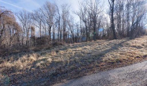 Photo #2 of OVERLOOK MOUNTAIN, ELKTON, VA 3.0 acres