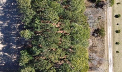 Photo #7 of 1 SCARBOROUGH LANE, BELLE HAVEN, VA 60,113.0 acres