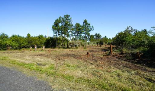 Photo #5 of Lot 19E OAK DR, CHINCOTEAGUE, VA 15,168.0 acres