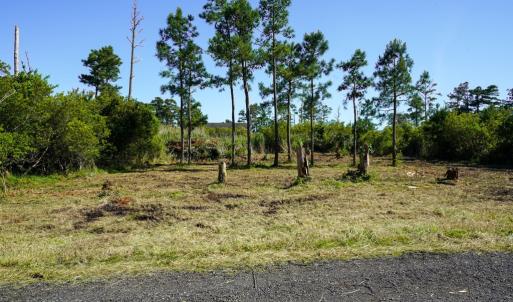 Photo #3 of Lot 19E OAK DR, CHINCOTEAGUE, VA 15,168.0 acres