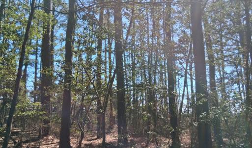 Photo #11 of Lot H HOLLY SHORES LN, HACKSNECK, VA 3.6 acres