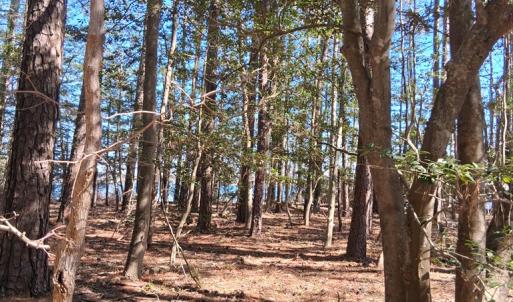Photo #12 of Lot H HOLLY SHORES LN, HACKSNECK, VA 3.6 acres