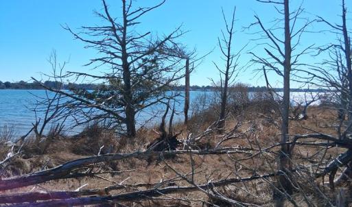 Photo #16 of Lot H HOLLY SHORES LN, HACKSNECK, VA 3.6 acres