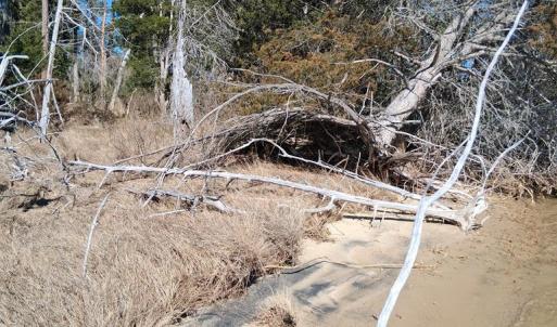 Photo #18 of Lot H HOLLY SHORES LN, HACKSNECK, VA 3.6 acres