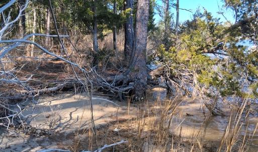 Photo #5 of Lot H HOLLY SHORES LN, HACKSNECK, VA 3.6 acres