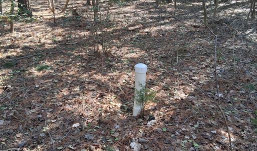 Photo #10 of Lot H HOLLY SHORES LN, HACKSNECK, VA 3.6 acres