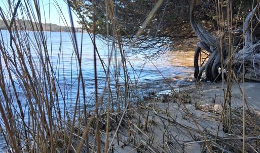 Photo #14 of Lot H HOLLY SHORES LN, HACKSNECK, VA 3.6 acres