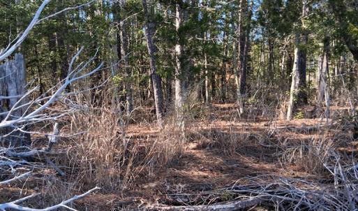 Photo #6 of Lot H HOLLY SHORES LN, HACKSNECK, VA 3.6 acres