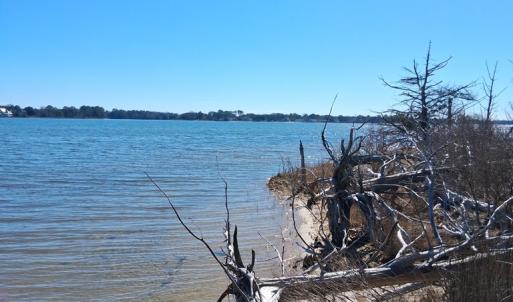 Photo #8 of Lot H HOLLY SHORES LN, HACKSNECK, VA 3.6 acres