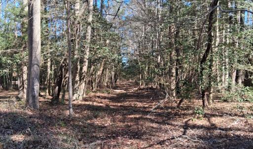 Photo #9 of Lot H HOLLY SHORES LN, HACKSNECK, VA 3.6 acres